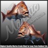 Snapper Decals - Mirrored Pair