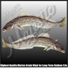 King George Whiting - Decals - Mirrored Pair