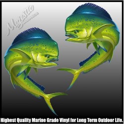 Dolphin Fish - Mahi Mahi