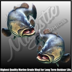 Murray Cod - Decals -...
