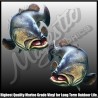 Murray Cod - Decals - Mirrored Pair