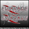 Evinrude Swoosh - Grey - 430mm x 145mm